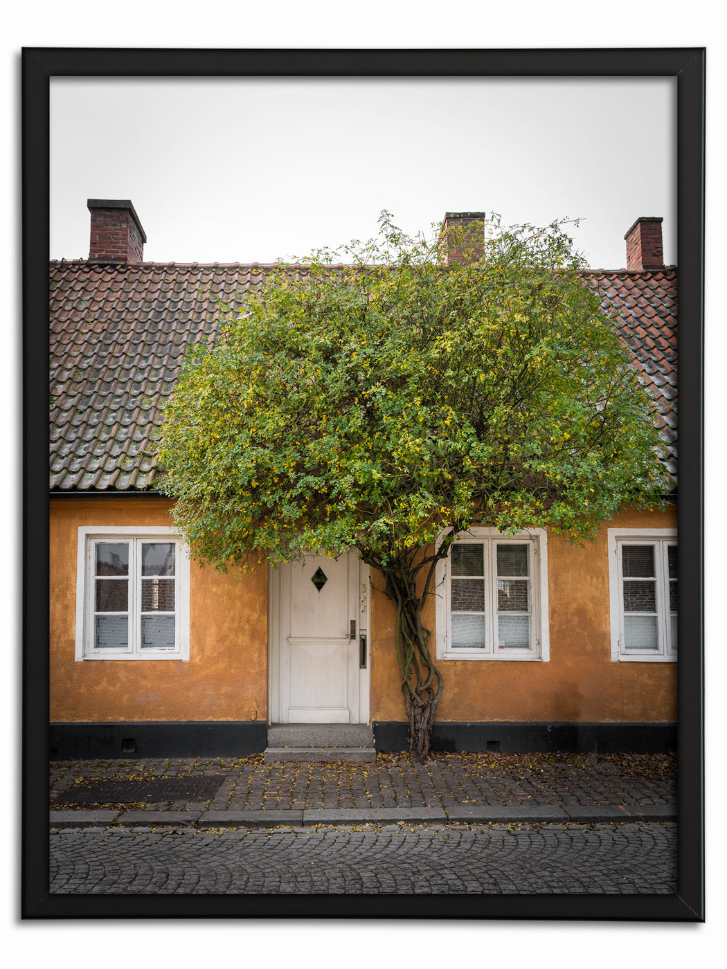 Gula Huset och Gröna Trädet