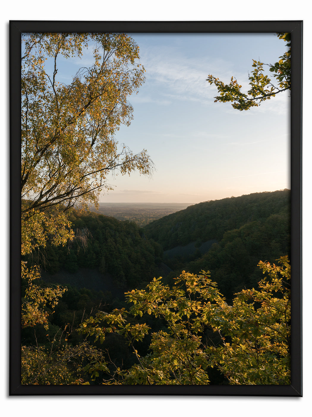 Höstmorgon i Söderåsen