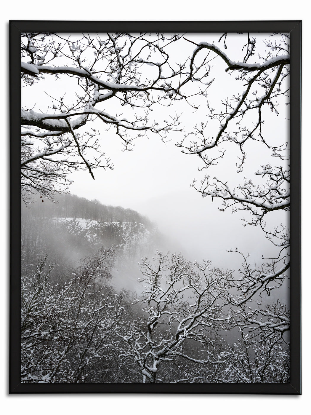 Vinter i Söderåsen