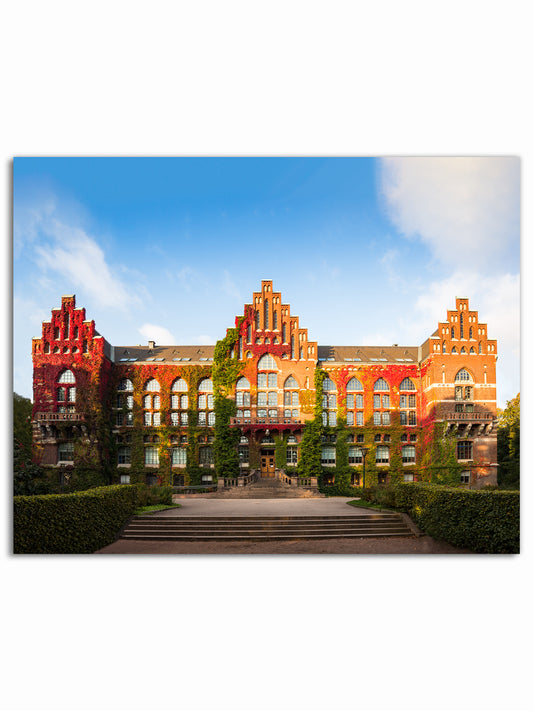 Universitetsbiblioteket