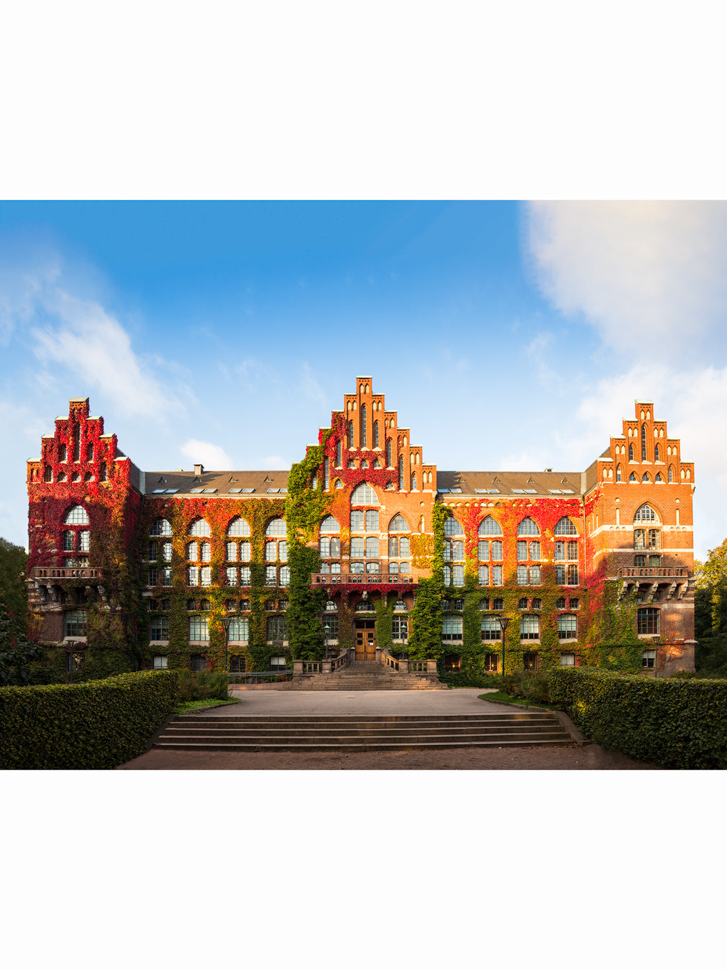 Universitetsbiblioteket