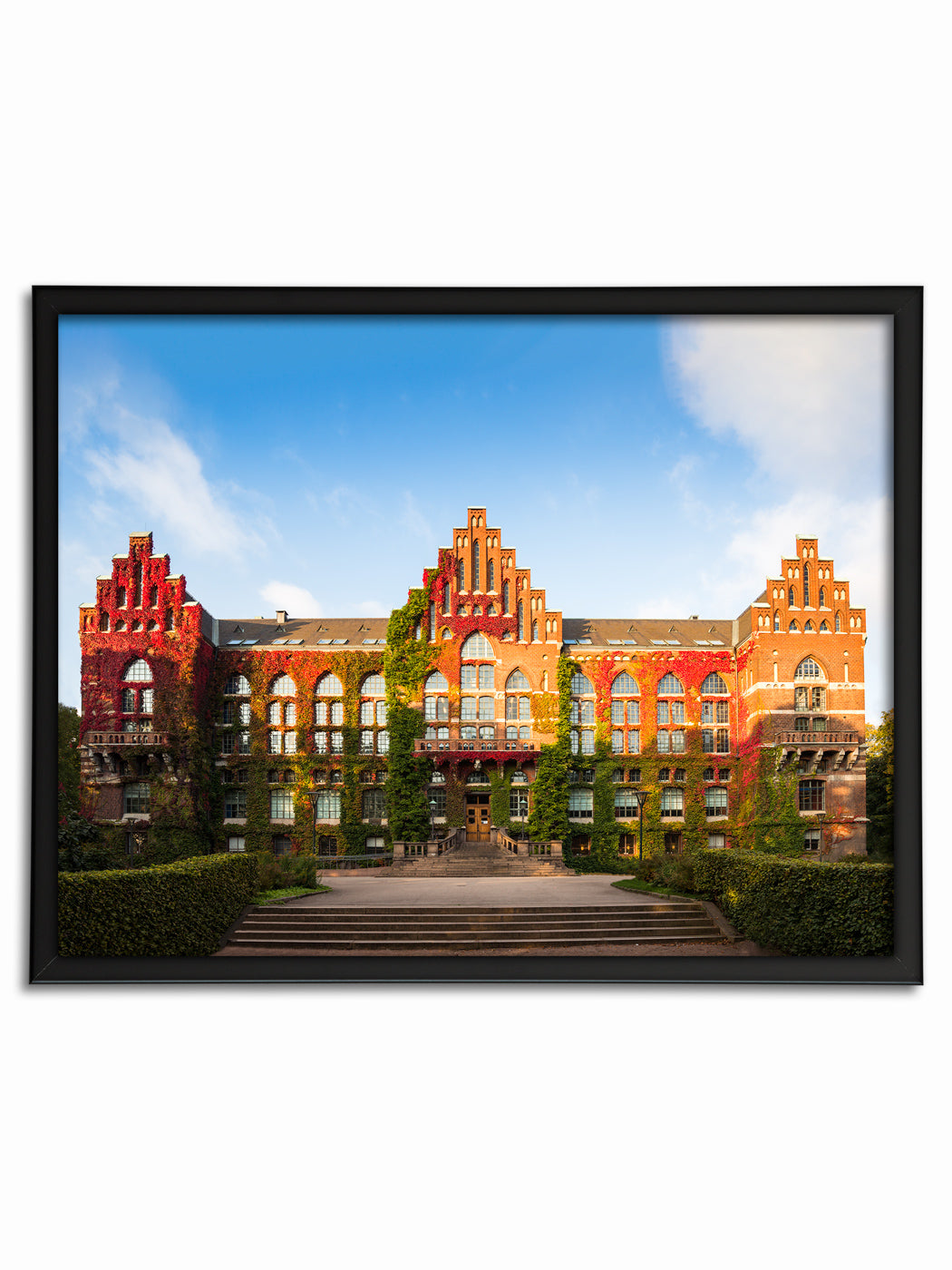 Universitetsbiblioteket