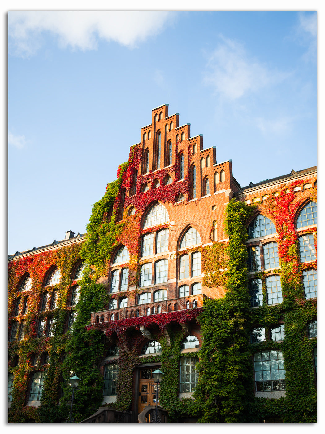 Universitetsbiblioteket II