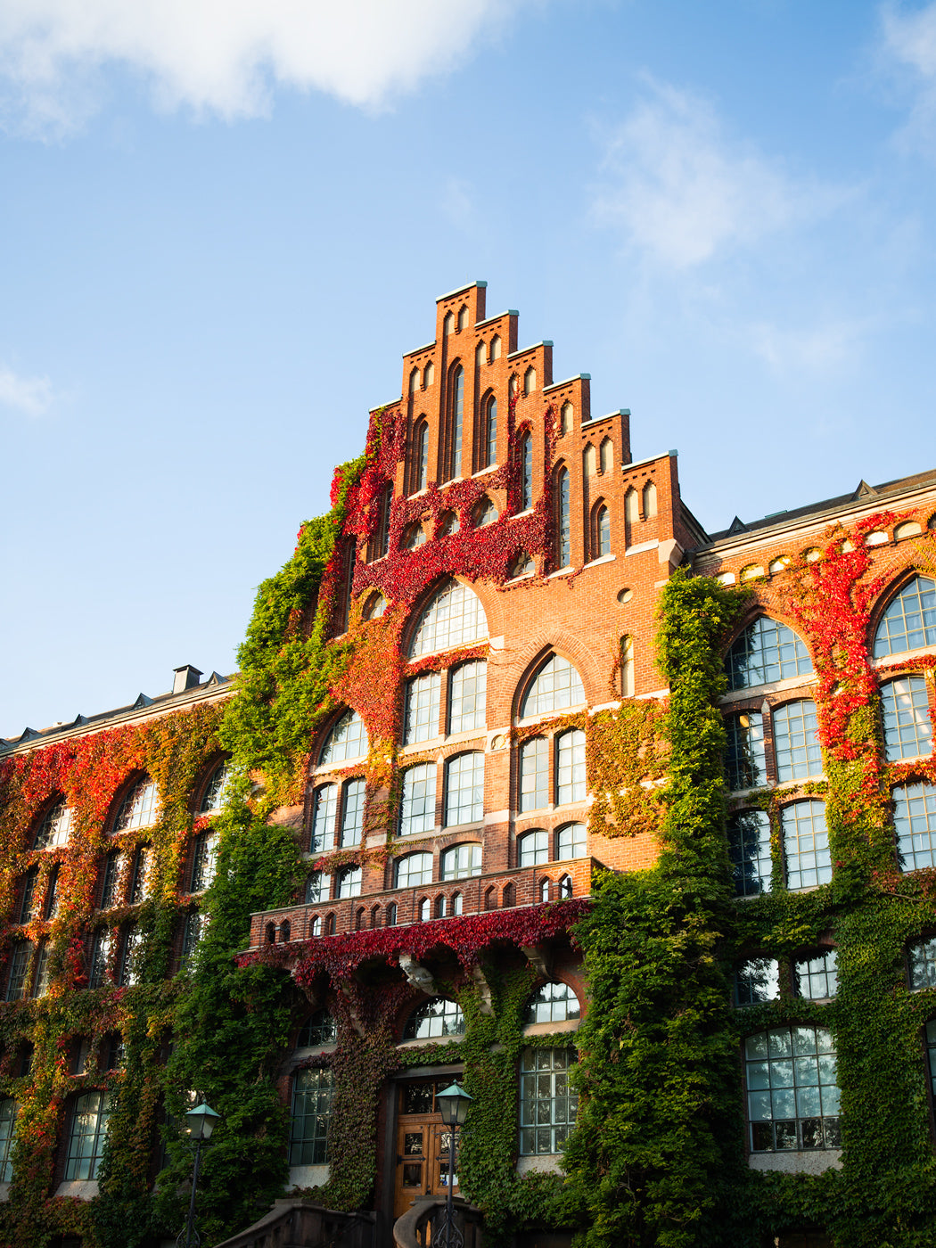 Universitetsbiblioteket II