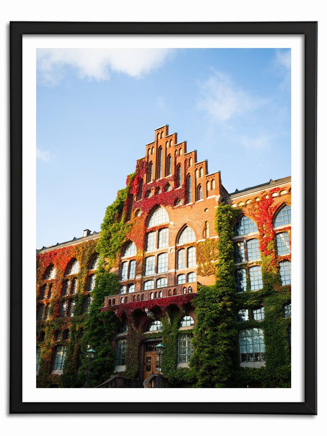 Universitetsbiblioteket II