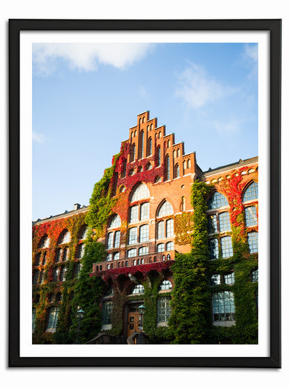 Universitetsbiblioteket II