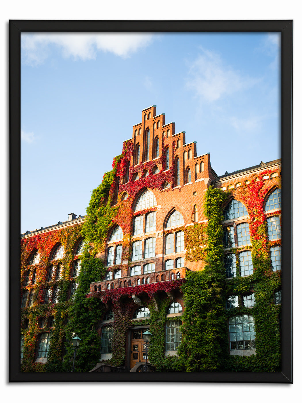 Universitetsbiblioteket II