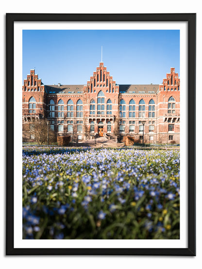 Blå blommor framför Universitetsbiblioteket