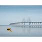 Gul båt och Öresundsbron II