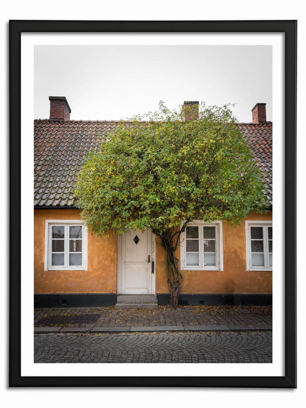 Gula Huset och Gröna Trädet