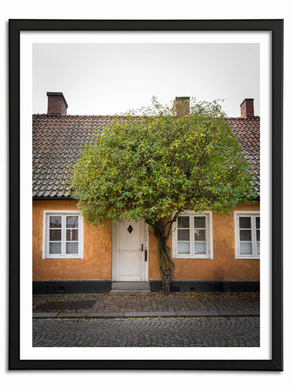 Gula Huset och Gröna Trädet