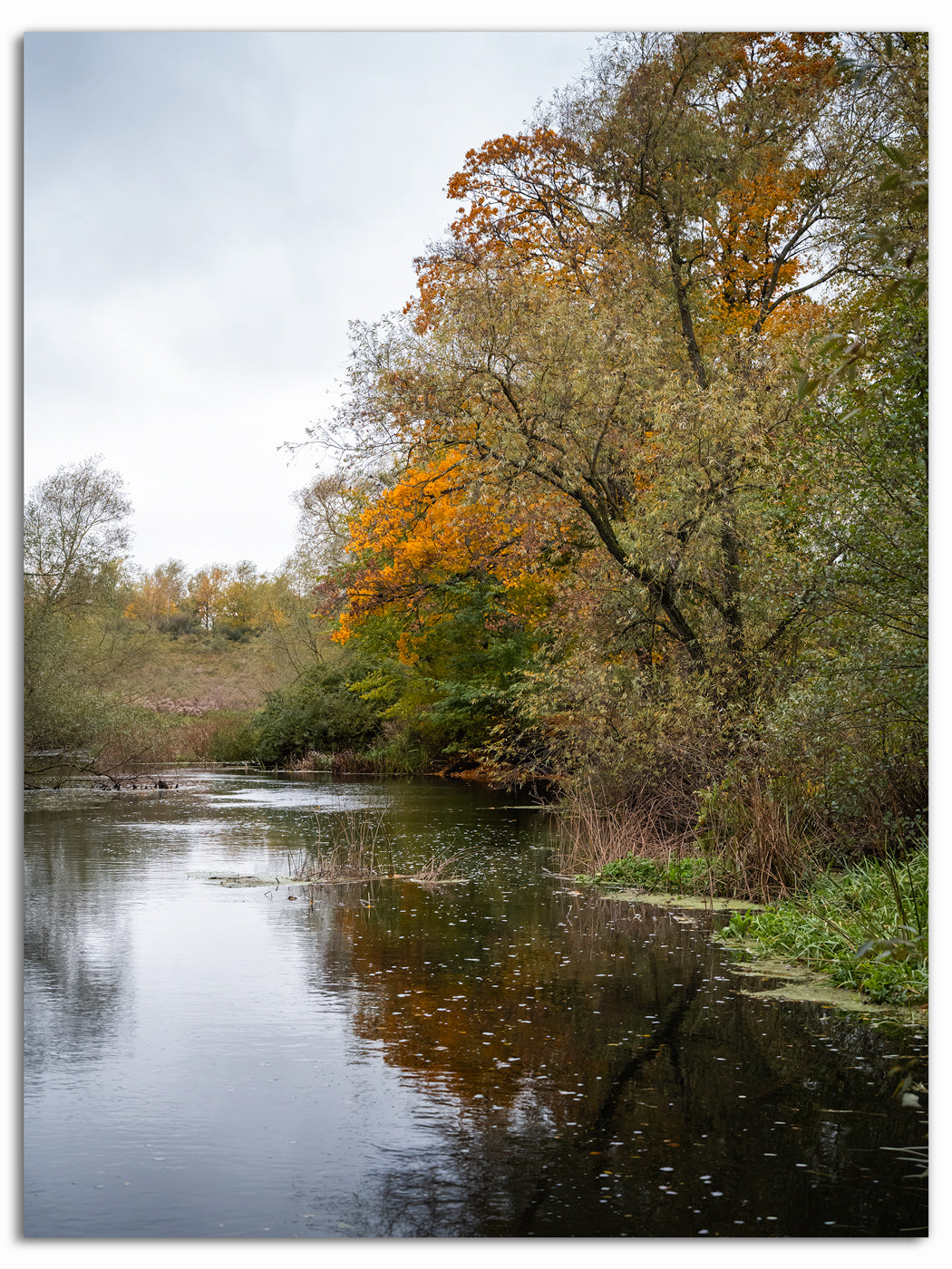 Höst över Kävlingeån