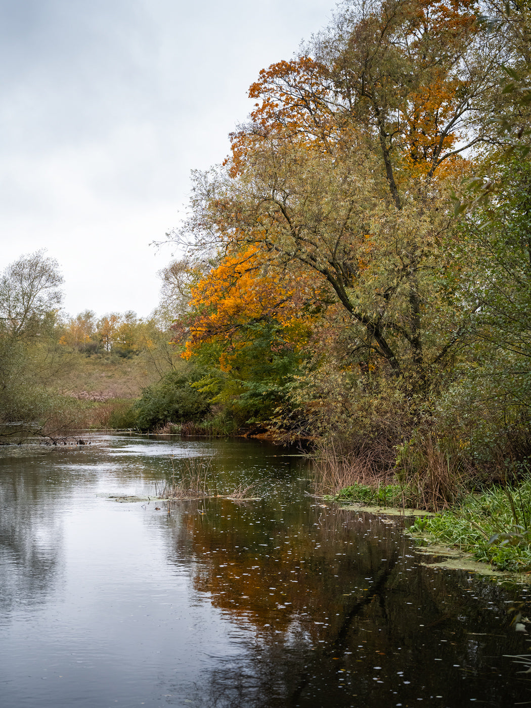 Höst över Kävlingeån