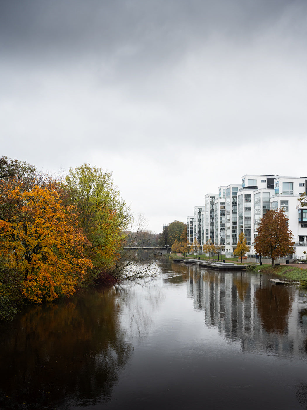 Höst över Rönne Å