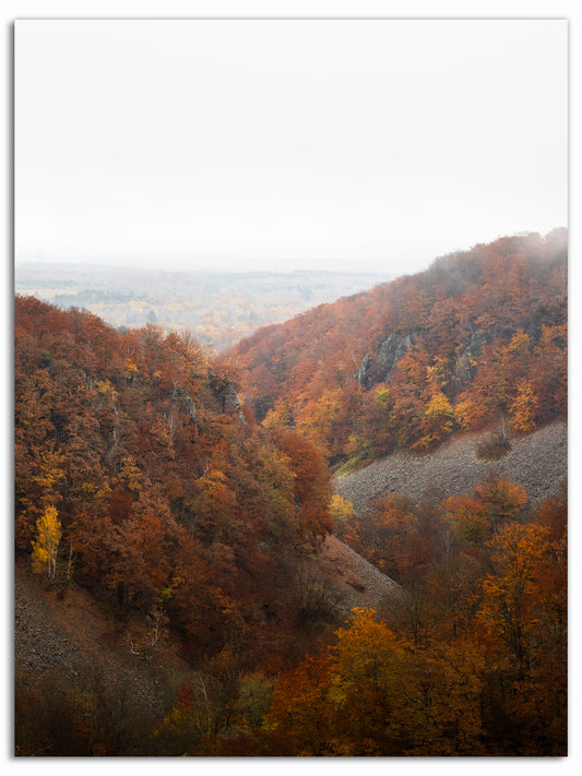 Höstens sista färger