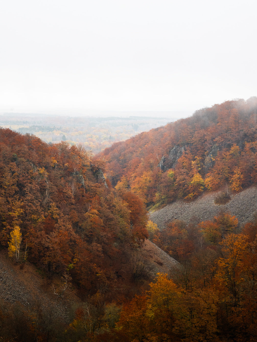 Höstens sista färger