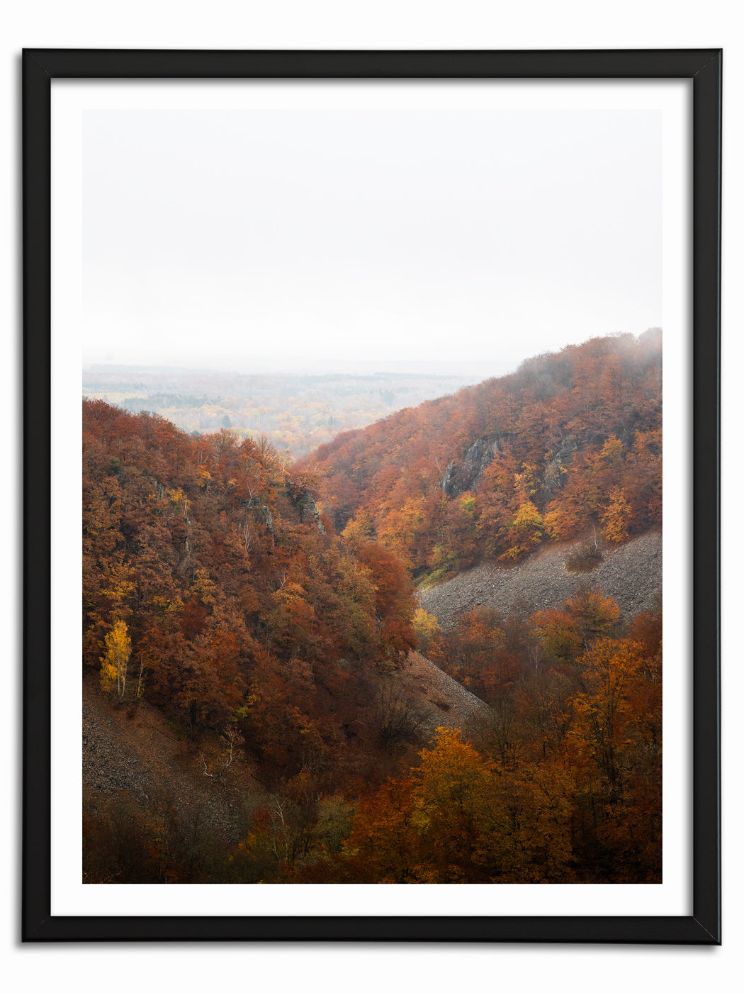 Höstens sista färger