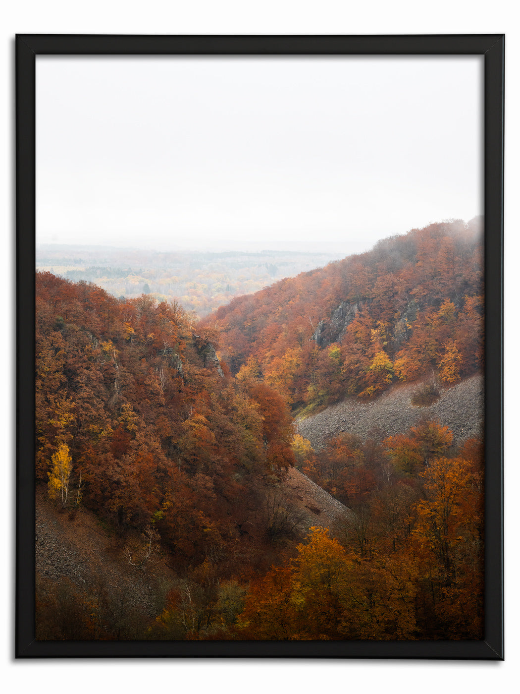 Höstens sista färger