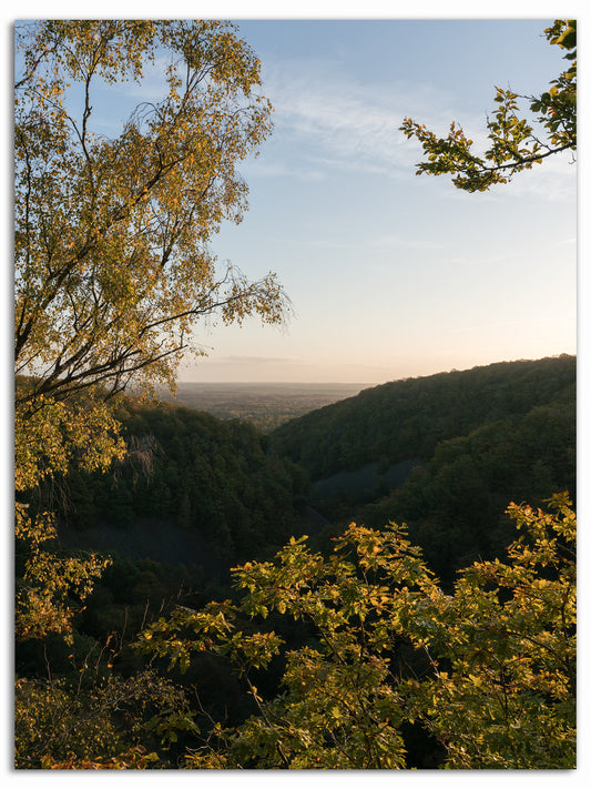 Höstmorgon i Söderåsen