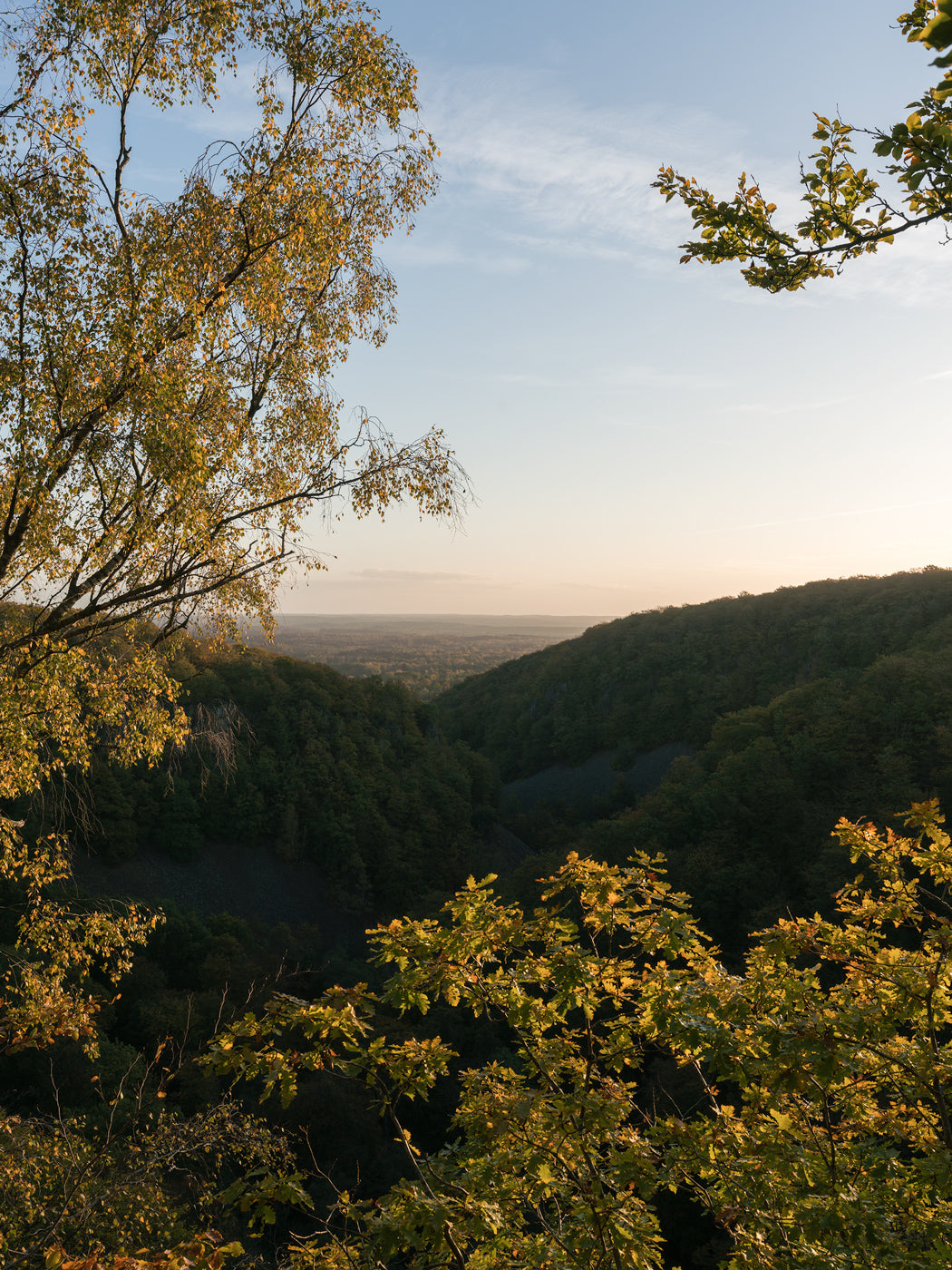 Höstmorgon i Söderåsen