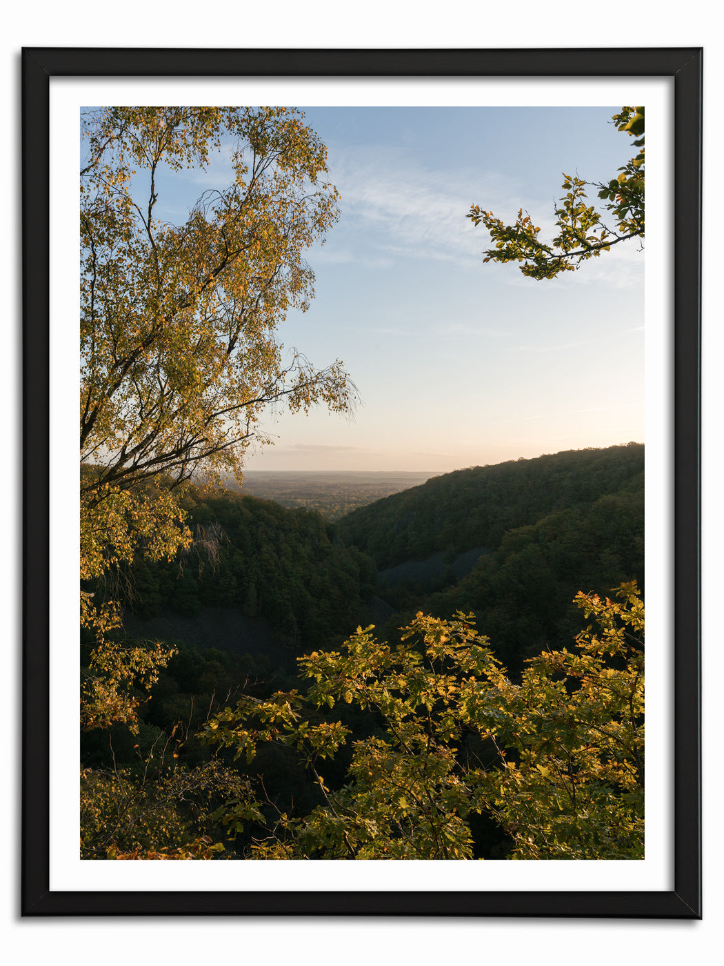 Höstmorgon i Söderåsen