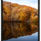 Höstreflektion