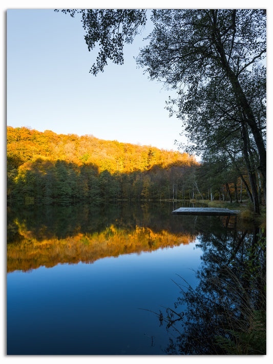 Soluppgång över Odensjön