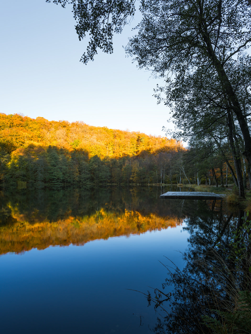 Soluppgång över Odensjön