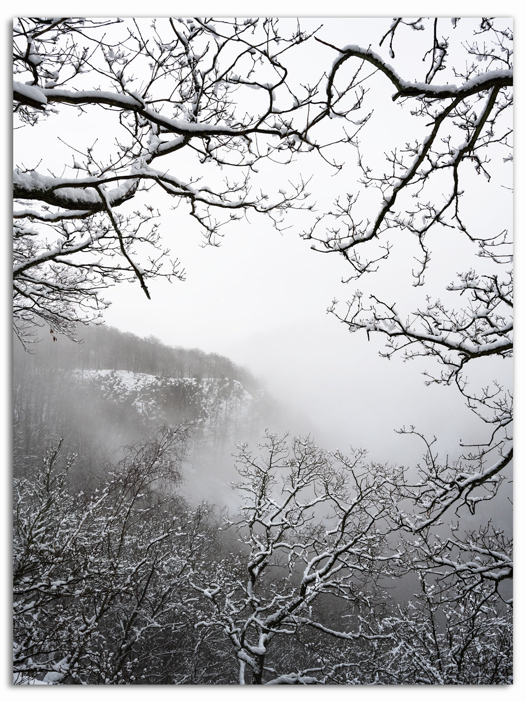 Vinter i Söderåsen
