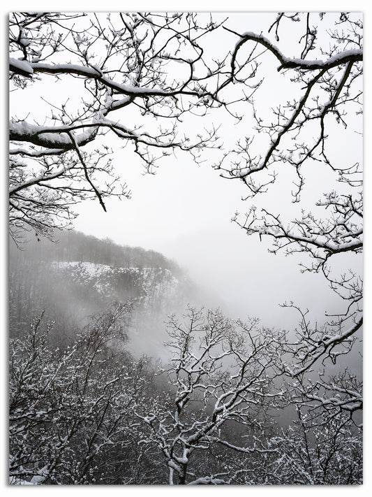 Vinter i Söderåsen