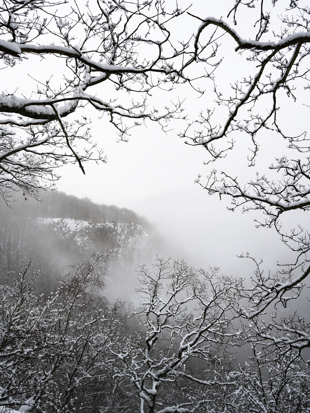 Vinter i Söderåsen