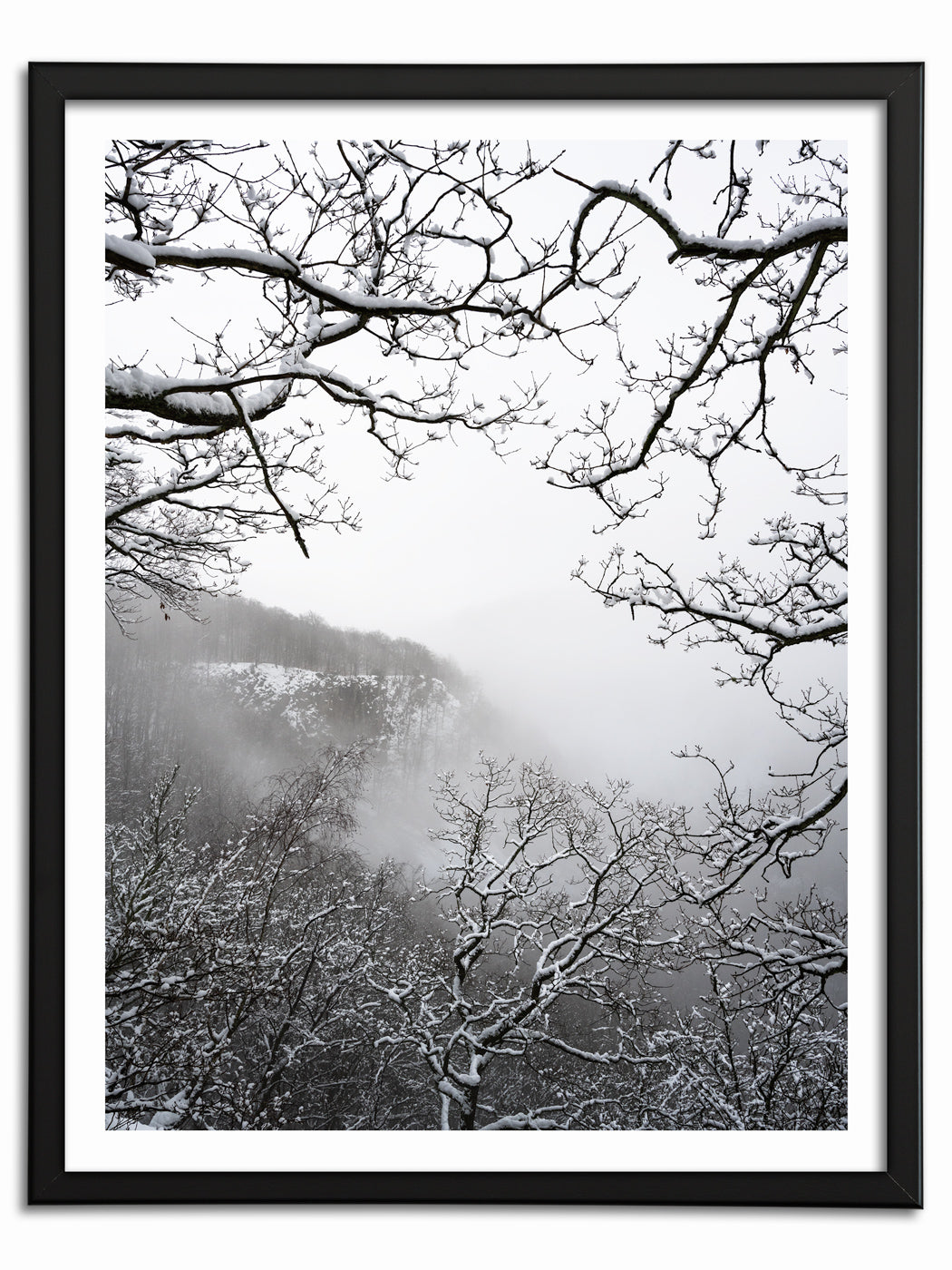 Vinter i Söderåsen