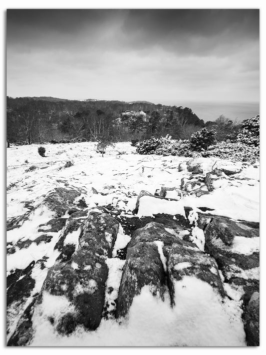 Vinter på Kullaberg